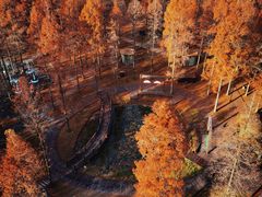 -黄海国家森林公园