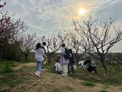 -上海海湾国家森林公园