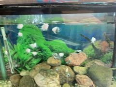 水产区-李先生牛肉面大王(华联商厦店)