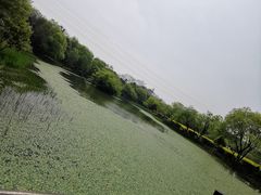 -八卦田遗址公园