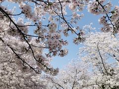 -苏州上方山国家森林公园
