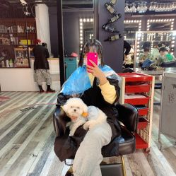 -菲拉派瑞连锁沙龙