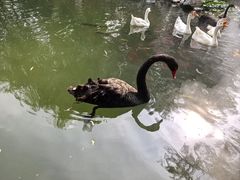 -天毓山庄·餐厅