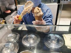 -野人先生现做冰淇淋(西安赛格店)