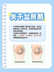 -安院长·产后恢复·徒手骨盆(先天下店)
