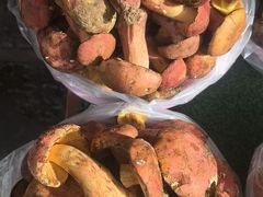 -三锅莊·牦牛肉火锅·香格里拉特色藏餐宴请餐厅(昆明创始店)