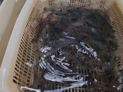 -御面斋精品面馆