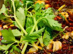 -蛙蛙鸡冷锅鱼(温江店)