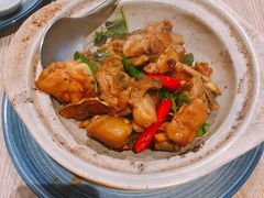 宝岛三杯鸡-芒果爆爆(东海缤纷店)