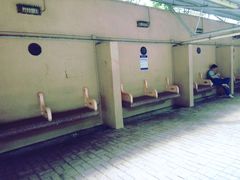 -九龙公园
