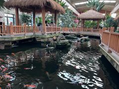 -南宫五洲植物乐园