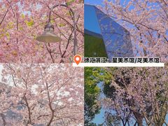 -上海共青森林公园