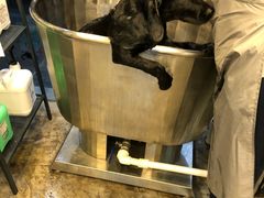 -PETKIT小佩宠物(古北店)