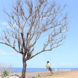 巴厘岛小众美景胜地：快来蓝可乐大海打卡