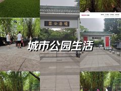 -晓港公园