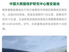 -听雨小筑茶舍(观音桥·龙湖新壹街店)