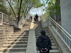 -白水寺森林公园