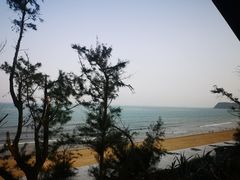 -漳州滨海火山岛自然生态风景区