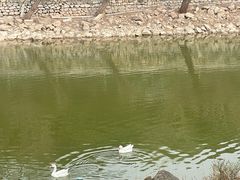 -北京张裕爱斐堡酒庄