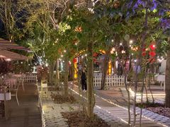 -陶缘一号·四季缘·老字号顺德菜·户外婚礼家宴(西滘店)