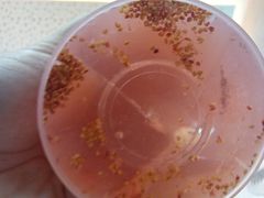 -喜茶(广州中山六路店)