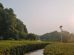 -艾溪湖湿地公园