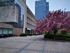 -青岛市图书馆