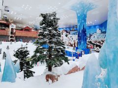 -湘江欢乐城欢乐雪域