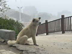 -平潭岛•仙人井