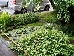 -微热山丘(台北民生公园门市店)