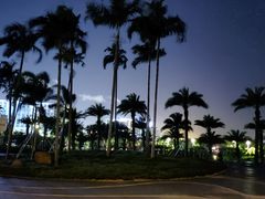 -宝安西湾红树林湿地公园