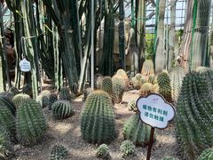 -南山植物园