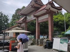 -缙云山景区