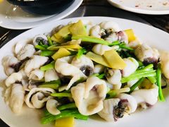 脆肉皖-荔景渔庄