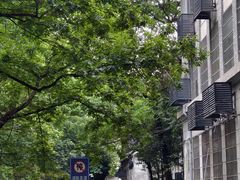 -东南大学(四牌楼校区)