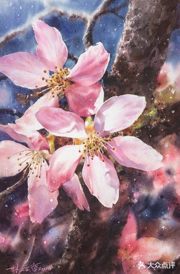 台湾画家林经哲樱花水彩画作品欣赏[礼花][礼花]