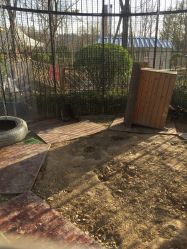 -萌宠亲子动物乐园(槐房万达店)