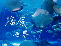 -华夏文旅海洋公园