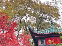 -岳麓山风景名胜区