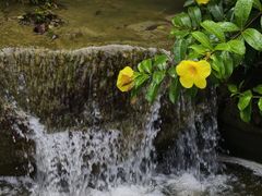 -广州神农草堂中医药博物馆