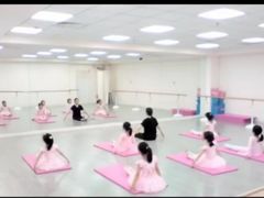 -墨舞舞蹈(顾村公园店)