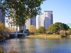 -新江湾城公园