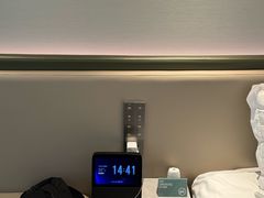 -南京THE TAI太和紫金大酒店