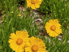 -济南国际园博园