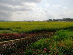 景点-光明小镇欢乐田园
