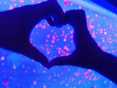 -多彩贵州城极地海洋世界