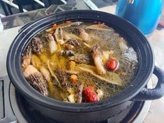 -蘑统田下·野生菌火锅