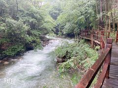 -祁门牯牛降观音堂风景区