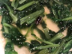 清炒鸡毛菜-蝶园·装修中(BFC外滩金融中心店)