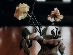 -远山有窑